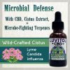 Microbial Defense with Cistus Incanus, Terpenes and CBD